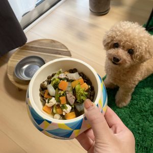 食事を待つ愛犬