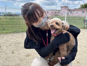 ドッグランで満足気な愛犬