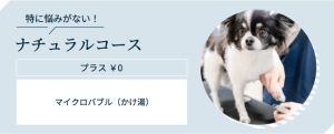 特に悩みがない! ナチュラルコース プラス0円 内容マイクロバブル(かけ湯)/ 歯磨き