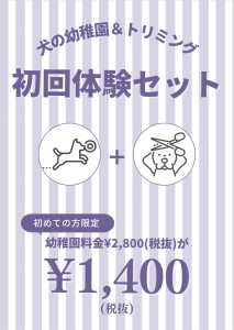 初回体験セット