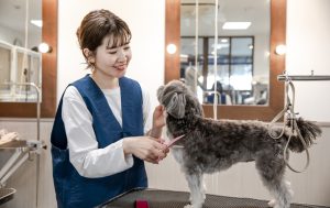 ペットサロン フェリーチェのトリミング