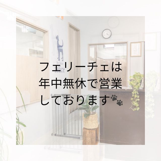 いつもお世話になっております☺️

ラビータさんは8/31(木)に棚卸作業の為、お店をお休みされます。

しかし、フェリーチェラビータ店は営業致しますので、ご予約を頂いてるお客様にはご迷惑をおかけしますが、そのまま店内にお入りください🙇‍♀️
よろしくお願い致します。

#岡山県#岡山市#岡山市北区#下中野#西古松#上中野#北長瀬#大元#問屋町岡山市南区#岡山市中区
#ペットサロンフェリーチェ
#petsalonfelice
#岡山トリミングサロン
#岡山犬 
#岡山トリマー#岡山トリミング
#岡山シニア犬#シニアドッグ
#シニアトリミング#岡山シニアトリミング
#ペットホテル
