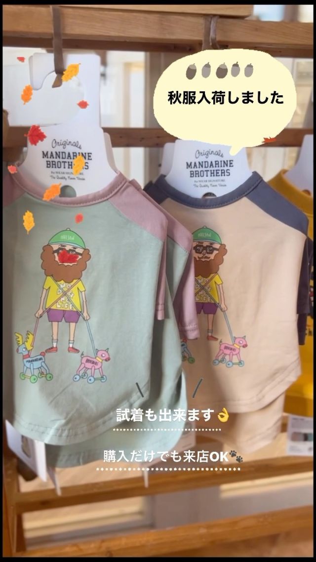 .
トリミングついでに試着してみてくださいね〜👍
　　
岡山市南区福浜町2-2
📞086-902-5560 
　　
　　
　　
　　

#岡山県#岡山市#岡山市北区#下中野#西古松#上中野#北長瀬#大元#問屋町岡山市南区#岡山市中区
#ペットサロンフェリーチェ
#petsalonfelice
#岡山トリミングサロン
#岡山犬 
#岡山トリマー#岡山トリミング
#岡山シニア犬#シニアドッグ
#シニアトリミング#岡山シニアトリミング
#ペットホテル

@mandarine_brothers