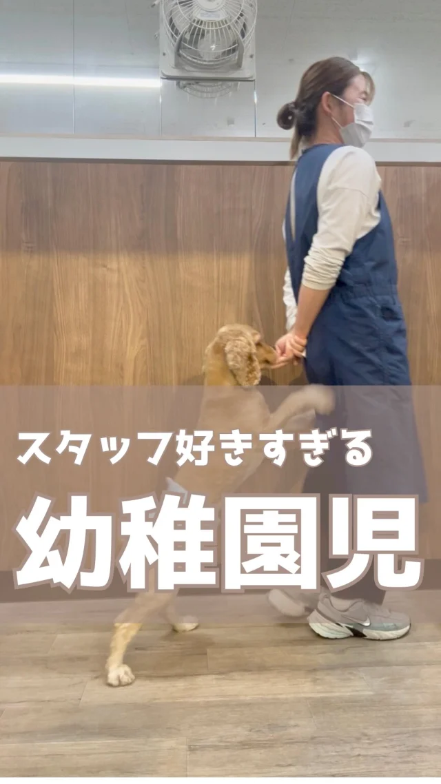 Instagram 投稿 18042097799292217