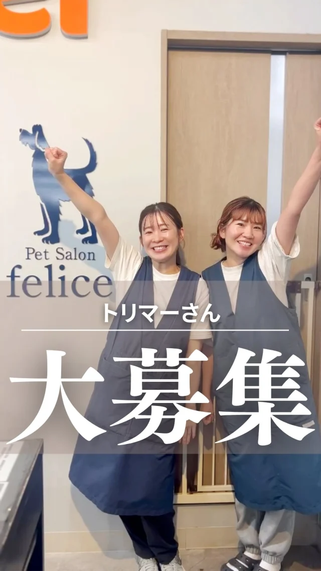 ＼スタッフ大募集！／
「もっと技術を磨きたい」
「動物と関わる仕事を長く続けたい」
ペットサロン フェリーチェはそんな方にぴったりの職場です。

＊＊フェリーチェで働く3つの魅力＊＊
＜１＞学べる – ベテランから直接技術や対応力を吸収
＜２＞支え合える – 得意を活かし、苦手はフォローし合うチームワーク
＜３＞続けられる – ライフスタイルに合わせた働き方が可能

経験者はもちろん、ブランクのある方や環境を変えて挑戦したい方も大歓迎！
スタッフのほとんどが「ここで働けてよかった」と感じています。

職種はトリマーだけでなく、ドッグトレーナー（経験者のみ）も同時募集中です。

詳細はハイライトのリンクからご確認ください。

「今すぐではないけど興味がある」 「話を聞いてみたい」だけでもOKです！

お問い合わせは・・・　
福浜店📲086-902-5560
またはDMからお気軽にご連絡ください😊

･･─･･─･･─･･─･･─･･─･･─･･

ペットサロン フェリーチェのこだわりは
〝年齢制限のないサロン〟
ワンちゃんやネコちゃんが飼い主様と
1日でも長く過ごせるように
幼い頃から高齢になる時まで通い続けられる
サロンメニューと設備をご用意しています。

詳しくはプロフィールからHPをチェック！
▶︎福浜店 @petsalon_felice 
▶︎ラビータ店 @petsalonfelice_lavita 

･･─･･─･･─･･─･･─･･─･･─･･

最期の時まで寄り添いたい
一生通えるトリミングサロン

ペットサロン フェリーチェ
📍岡山県岡山市南区福浜町2-2
📲086-902-5560
🕐10:00～19:00／年中無休

ペットサロン フェリーチェ ラビータ店
📍岡山県岡山市北区東古松495-1
　 総合ペットショップ ラビータ東古松店内
📲086-803-2171
🕐10:00～19:00／年中無休

#岡山トリマー求人 
#トリマー転職
#ペットサロンフェリーチェ