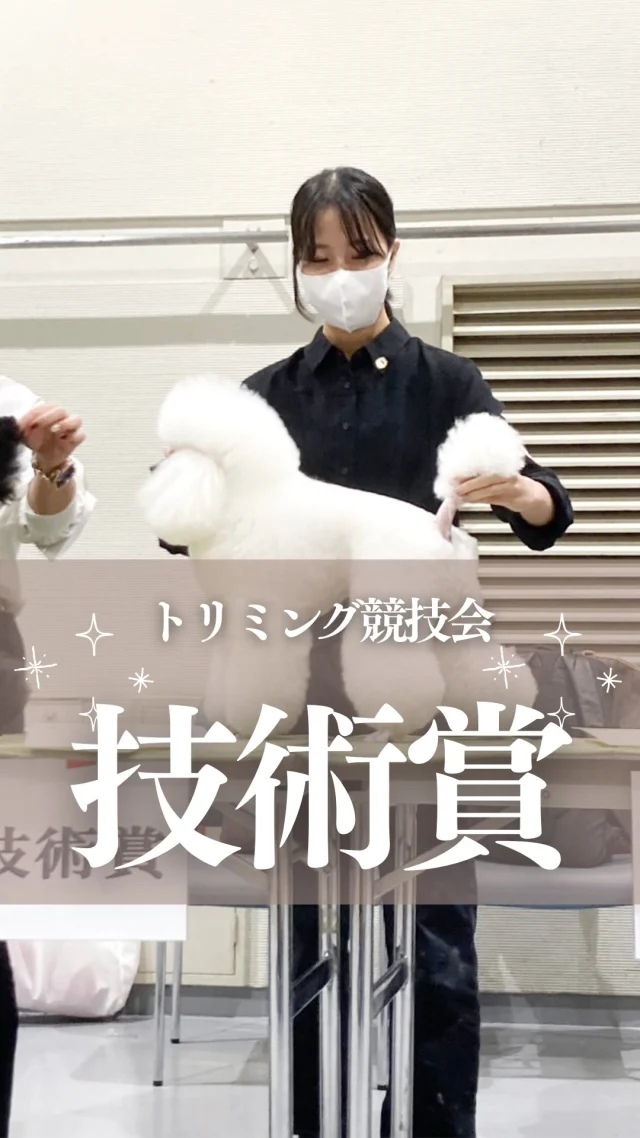 🐶
トリマー西原が
「中国ブロック トリミング競技会」
技術賞入賞！

※※※

先日、フェリーチェ福浜店のトリマー西原が
「中国ブロック トリミング競技会」に出場し、
見事「技術賞」に入賞いたしました！

日々のたゆまぬ努力が実を結び、
お店としても大変誇りに思っています。

結果は通過点。彼女の「常に上を目指す向上心」は、
先輩スタッフたちにも良い刺激を与え、
お店全体の技術レベルを押し上げてくれています。

リールでご覧いただいた競技中の集中力と技術、
そして授賞式での誇らしげな姿こそが、
西原の「確かなカット技術」を証明するものです。

愛犬のスタイリングでお悩みなら
ぜひご相談ください！

･･─･･─･･─･･─･･─･･─･･─･･

ペットサロン フェリーチェのこだわりは
〝年齢制限のないサロン〟
ワンちゃんやネコちゃんが飼い主様と
1日でも長く過ごせるように
幼い頃から高齢になる時まで通い続けられる
サロンメニューと設備をご用意しています。

詳しくはプロフィールからHPをチェック！
▶︎福浜店 @petsalon_felice 
▶︎ラビータ店 @petsalonfelice_lavita 

･･─･･─･･─･･─･･─･･─･･─･･

最期の時まで寄り添いたい
一生通えるトリミングサロン

ペットサロン フェリーチェ
📍岡山県岡山市南区福浜町2-2
📲086-902-5560
🕐10:00～19:00／年中無休

ペットサロン フェリーチェ ラビータ店
📍岡山県岡山市北区東古松495-1
　 総合ペットショップ ラビータ東古松店内
📲086-803-2171
🕐10:00～19:00／年中無休

#ペットサロンフェリーチェ
#岡山市トリミング
#岡山犬の美容室
#カットが上手いトリマー
#技術賞入賞