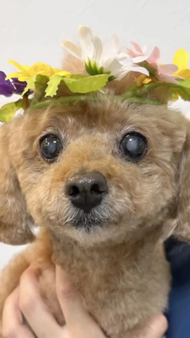 Instagram 投稿 18001814258674371