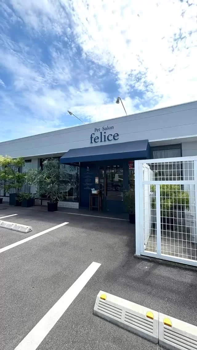 2025年もありがとうございました。

福浜店・ラビータ店を通して
今年も多くのワンちゃんと
飼い主様の笑顔に出会えたこと
スタッフ一同心より感謝申し上げます。

そんな一年の締めくくりに
皆様へ大切なお知らせがあります。

フェリーチェ25周年を迎える2026年！
ついに、新しい店舗がオープンします！

何年もの間
妥協せず理想の環境を追い求めて
ようやく心から「ここだ」と思える場所に
出会うことができました。

場所は倉敷甲羅本店さんのすぐ向かい。
まだ今は何も建っていない場所ですが
これから私たちの想いを形にしていきます。

オープンまでの準備の様子は
倉敷店のアカウント（ @petsalonfelice_kurashiki ）で
リアルタイムにお届けします。

ぜひアカウントを覗いて
一緒にワクワクしていただけたら嬉しいです！ 
2026年も引き続きフェリーチェを
よろしくお願いいたします😊

みなさま良いお年をお迎えください✨

･･─･･─･･─･･─･･─･･─･･─･･

ペットサロン フェリーチェのこだわりは
〝年齢制限のないサロン〟
ワンちゃんやネコちゃんが飼い主様と
1日でも長く過ごせるように
幼い頃から高齢になる時まで通い続けられる
サロンメニューと設備をご用意しています。

詳しくはプロフィールからHPをチェック！
▶︎福浜店 @petsalon_felice
▶︎ラビータ店 @petsalonfelice_lavita
▶︎倉敷店 @petsalonfelice_kurashiki

･･─･･─･･─･･─･･─･･─･･─･･

ペットサロン フェリーチェ 福浜店
📍岡山県岡山市南区福浜町2-2
📲086-902-5560
🕐10:00～19:00／年中無休

ペットサロン フェリーチェ ラビータ店
📍岡山県岡山市北区東古松495-1
　 総合ペットショップ ラビータ東古松店内
📲086-803-2171
🕐10:00～19:00／年中無休

ペットサロン フェリーチェ 倉敷店
📍岡山県岡山市東富井
📲準備中
🕐10:00～19:00／年中無休

#ペットサロンフェリーチェ
#岡山トリミングサロン
#倉敷トリミングサロン
#新店舗オープン
#犬のいる暮らし
